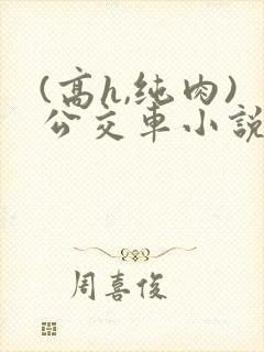 (高h,纯肉)公交车小说