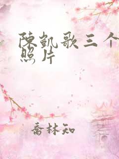陈凯歌三个儿子照片