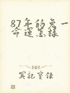 87年的兔一生命运怎样