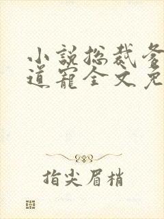 小说总裁爹地霸道宠全文免费阅读