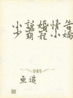 小说婚情告急顾少霸宠小娇妻