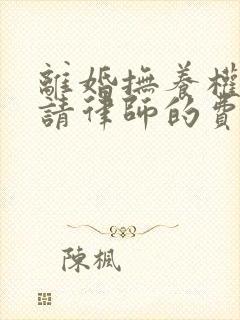 离婚抚养权纠纷请律师的费用