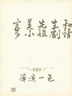 完美先生和差不多小姐剧情介绍
