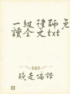 一级律师免费阅读全文txt