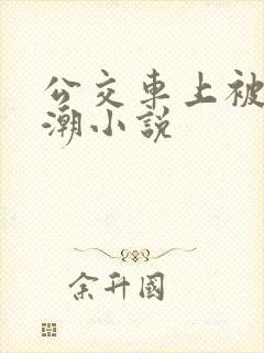 公交车上被插高潮小说
