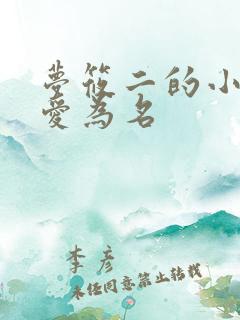 梦筱二的小说以爱为名
