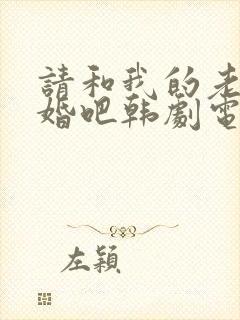 请和我的老公结婚吧韩剧电视剧全集