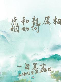 虎和龙属相配婚姻如何
