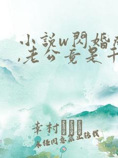 小说w闪婚成宠,老公竟是千亿大佬》
