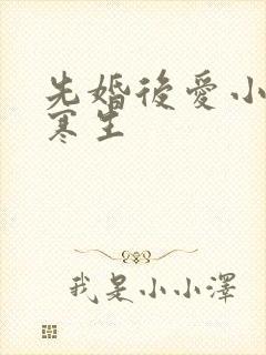 先婚后爱小说秋寒生