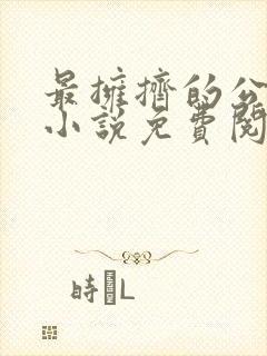 最拥挤的公交车小说免费阅读