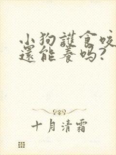 小狗护食咬主人还能养吗?