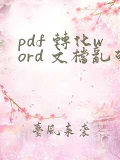 pdf 转化word 文档乱码了怎么办?