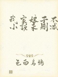 我家娘子不对劲小说未删减版