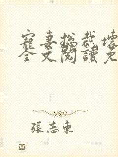 宠妻总裁坏透了全文阅读免费