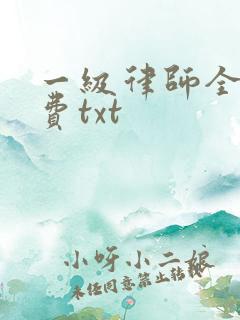 一级律师全文免费txt
