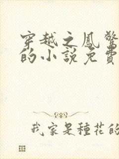 穿越之凤惊天下的小说免费阅读