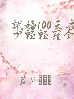 试婚100天夜少轻轻宠全文免费阅读