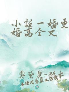小说一婚更比一婚高全文