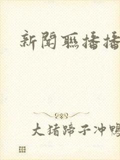 新闻联播播音员