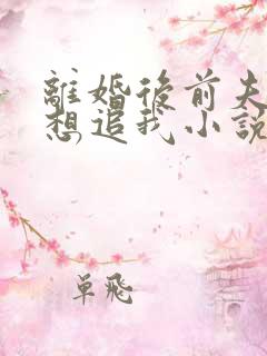 离婚后前夫总是想追我小说无弹窗