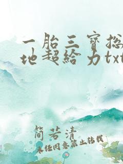 一胎三宝总裁爹地超给力txt