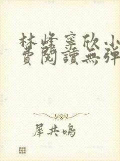 林峰宁欣小说免费阅读无弹窗