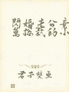 闪婚老公竟是亿万总裁的小说