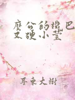 么公的机巴又粗又硬小莹
