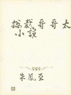 总裁哥哥太宠溺 小说