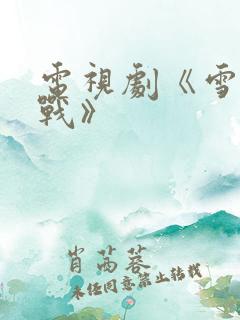 电视剧《雪豹特战》