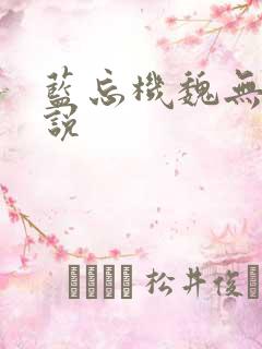 蓝忘机魏无羡小说