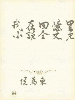 我在回忆里等你小说全文免费阅读