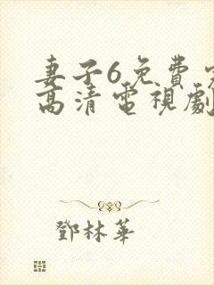 妻子6免费完整高清电视剧在线观看