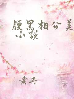 腹黑相公美如花 小说