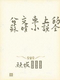 公交车上的妈妈苏晴小说全文阅读下