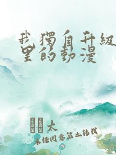 我独自升级是哪里的动漫