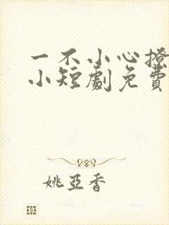 一不小心撩错人小短剧免费看