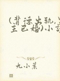 (背德出轨,男主已婚)小说