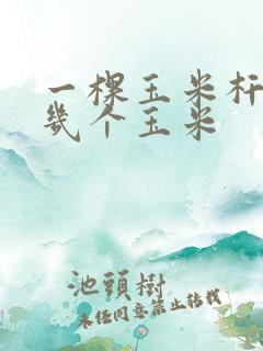 一棵玉米杆能结几个玉米