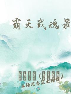 霸天武魂最新版