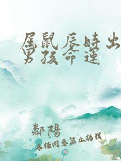 属鼠辰时出生的男孩命运