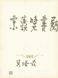 雪落时爱已落幕小说免费阅读全文