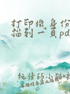打印机身份证扫描到一页pdf