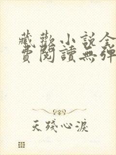 藏欢小说全文免费阅读无弹窗
