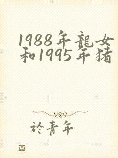 1988年龙女和1995年猪男