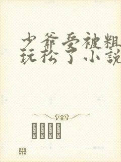 少爷受被粗汉H玩松了小说