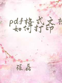 pdf格式文档 如何打印