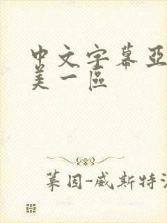 中文字幕亚洲欧美一区