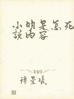 小明是怎死的小说内容